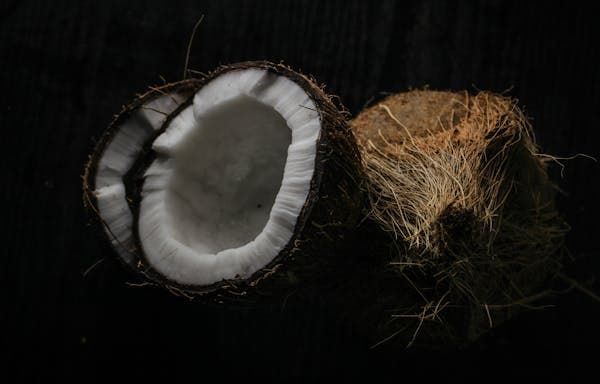 Coconut Milk Powder