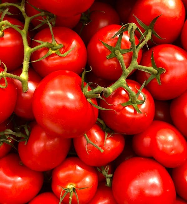 Tomato Powder